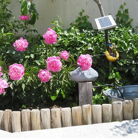 Forsthaus Falkner 3*