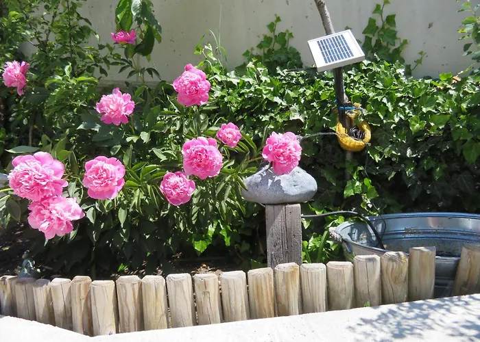 Forsthaus Falkner 3*